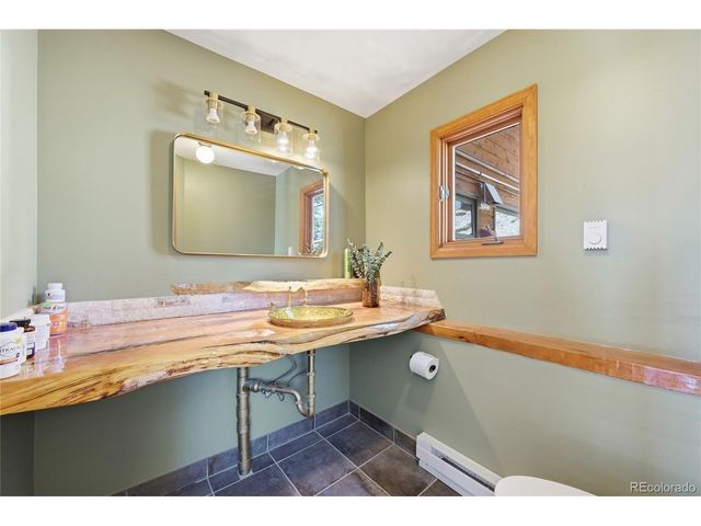 16 Auk Ln, Bailey, CO 80421