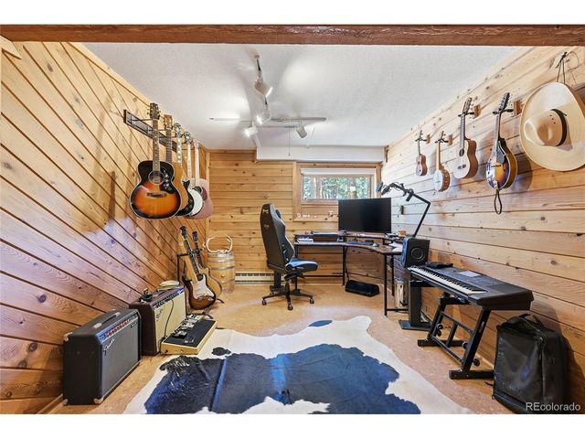 16 Auk Ln, Bailey, CO 80421