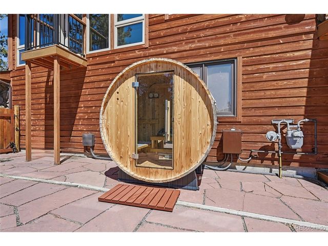 16 Auk Ln, Bailey, CO 80421