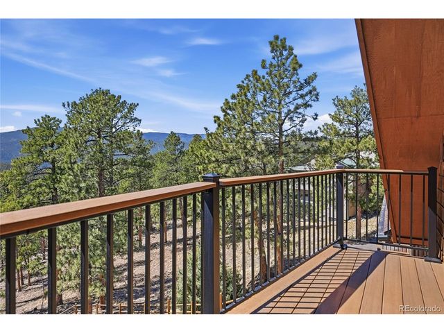 16 Auk Ln, Bailey, CO 80421