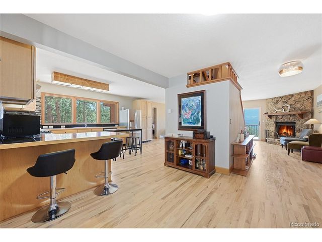 16 Auk Ln, Bailey, CO 80421