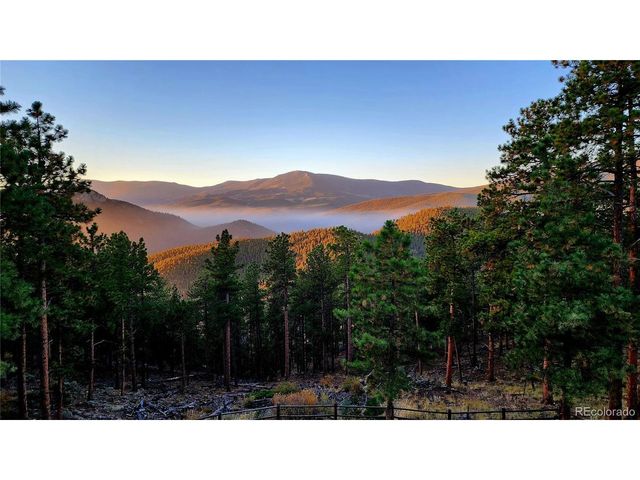 16 Auk Ln, Bailey, CO 80421