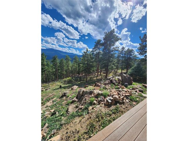 16 Auk Ln, Bailey, CO 80421