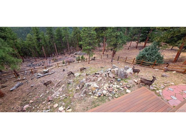 16 Auk Ln, Bailey, CO 80421