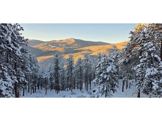 16 Auk Ln, Bailey, CO 80421
