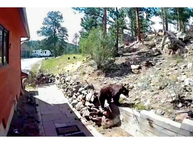 16 Auk Ln, Bailey, CO 80421
