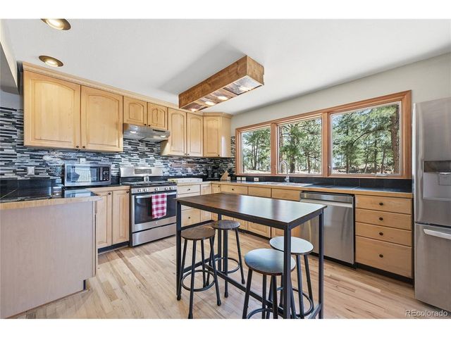 16 Auk Ln, Bailey, CO 80421