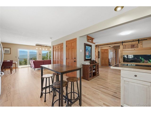 16 Auk Ln, Bailey, CO 80421