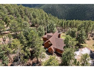 16 Auk Ln, Bailey, CO 80421