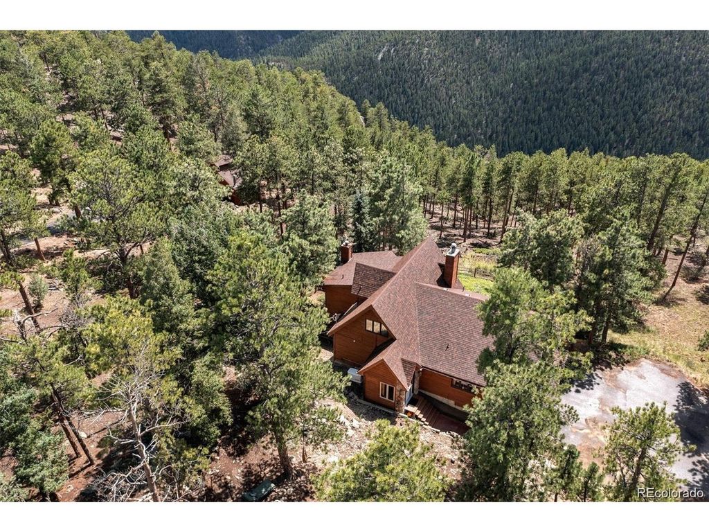 16 Auk Ln, Bailey, CO 80421