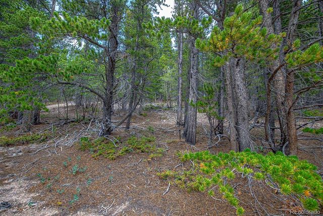 Lot 836 Nebraska Drive, Idaho Springs, CO 80452