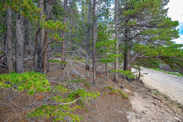 Lot 836 Nebraska Drive, Idaho Springs, CO 80452