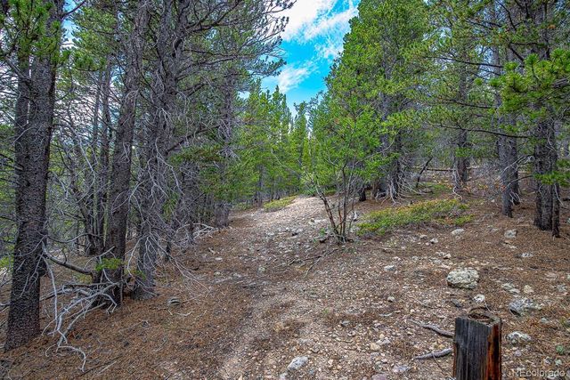 Lot 836 Nebraska Drive, Idaho Springs, CO 80452