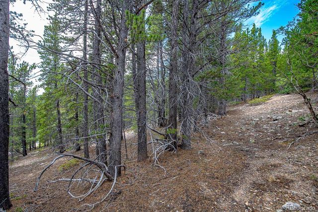 Lot 836 Nebraska Drive, Idaho Springs, CO 80452