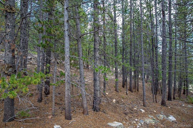 Lot 836 Nebraska Drive, Idaho Springs, CO 80452