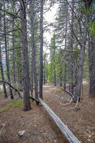 Lot 836 Nebraska Drive, Idaho Springs, CO 80452