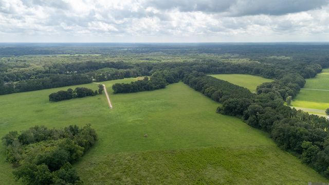 Tract C-4-C Blatt Ln, Ethel, LA 70730