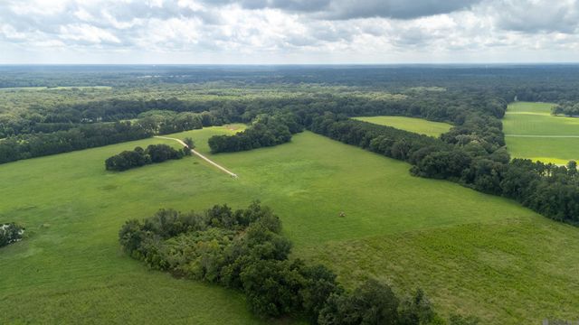 Tract C-4-C Blatt Ln, Ethel, LA 70730