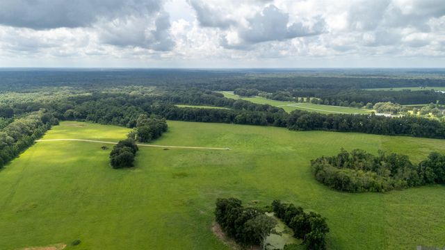 Tract C-4-C Blatt Ln, Ethel, LA 70730