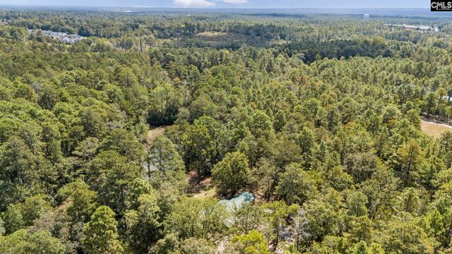 121 Coral Court, Lexington, SC 29073