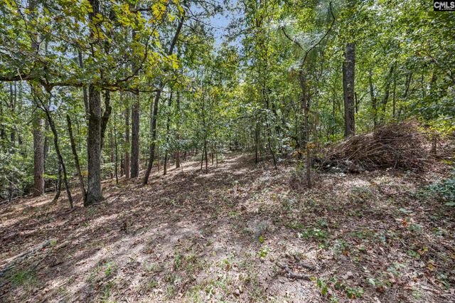 121 Coral Court, Lexington, SC 29073