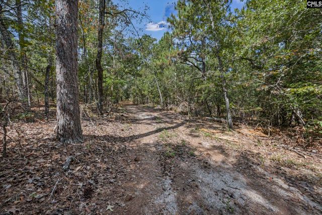 121 Coral Court, Lexington, SC 29073