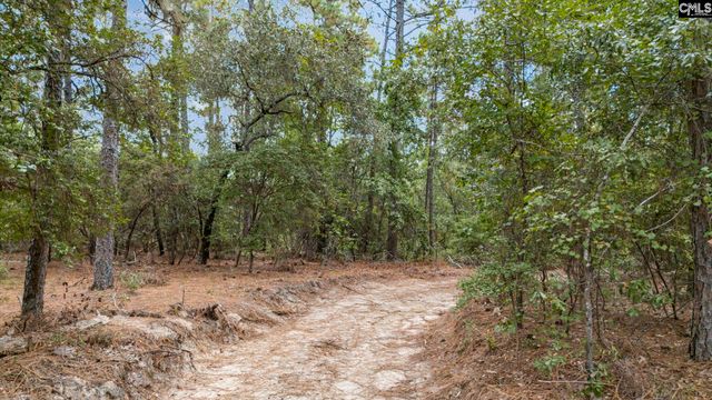 121 Coral Court, Lexington, SC 29073