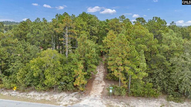 121 Coral Court, Lexington, SC 29073