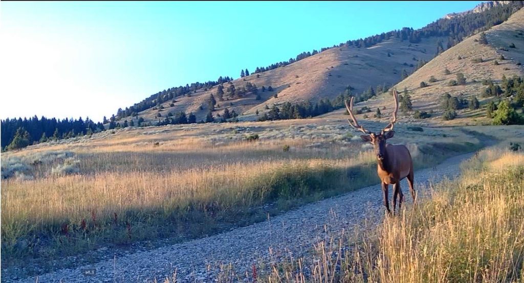 Springhill Vistas Ranch at Four Bar Ranches, Belgrade, MT 59714 photo 10
