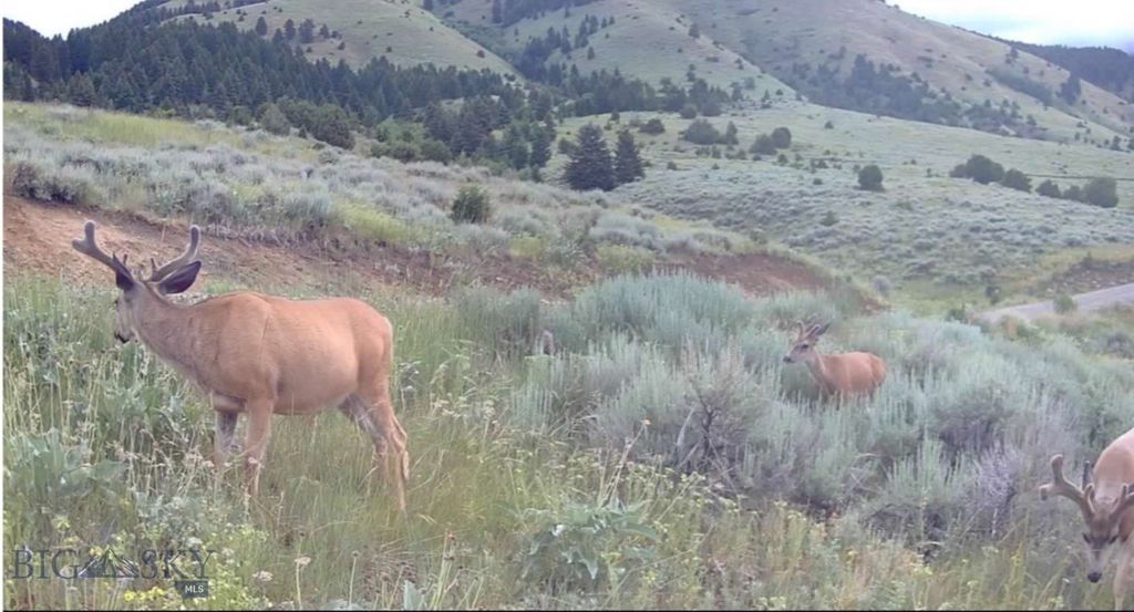 Springhill Vistas Ranch at Four Bar Ranches, Belgrade, MT 59714 photo 11