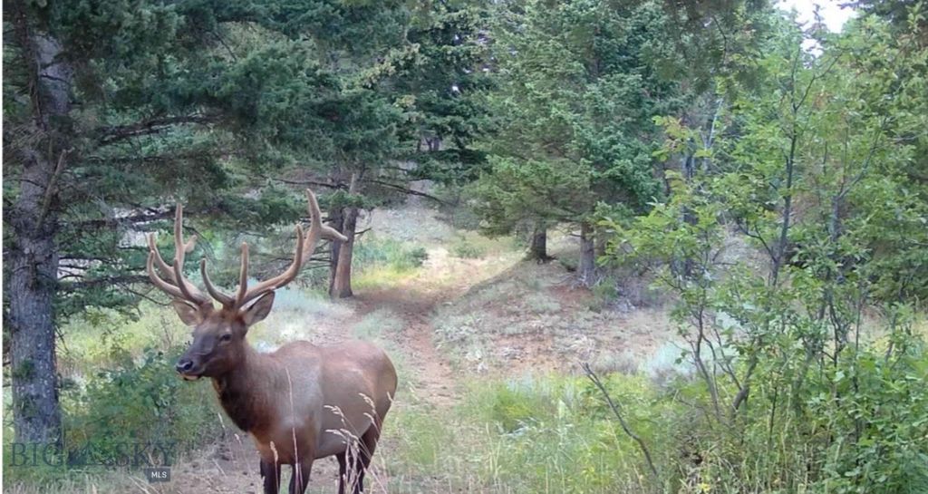 Springhill Vistas Ranch at Four Bar Ranches, Belgrade, MT 59714 photo 14