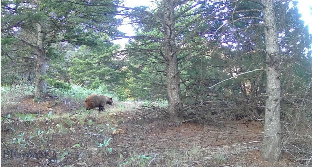 Springhill Vistas Ranch at Four Bar Ranches, Belgrade, MT 59714 photo 16
