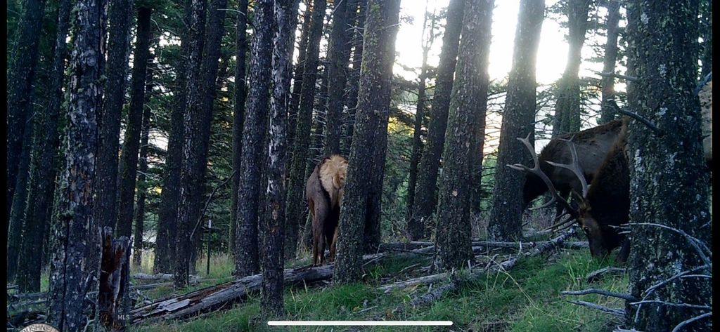 Springhill Vistas Ranch at Four Bar Ranches, Belgrade, MT 59714 photo 17
