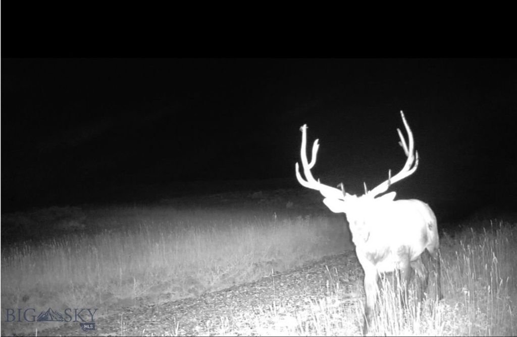 Springhill Vistas Ranch at Four Bar Ranches, Belgrade, MT 59714 photo 5