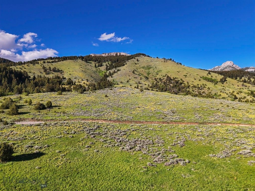Springhill Vistas Ranch at Four Bar Ranches, Belgrade, MT 59714 photo 66