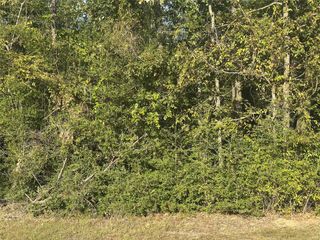 0 Magnolia Lane, Onalaska, TX 77360