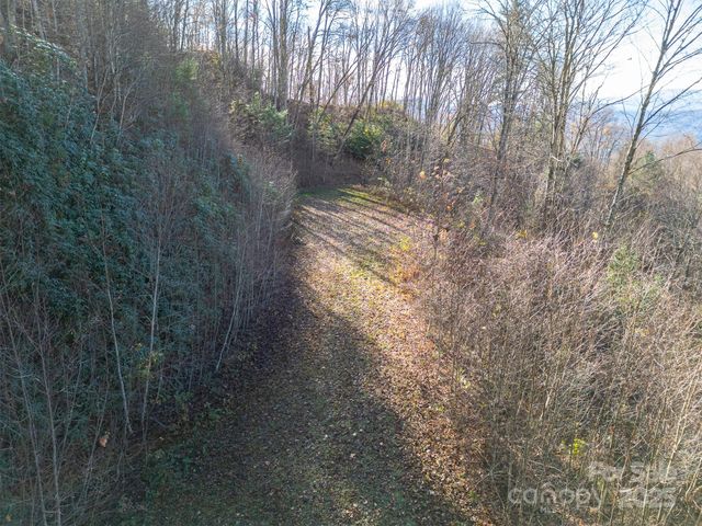 0000 Hyacinth Drive, Clyde, NC 28721