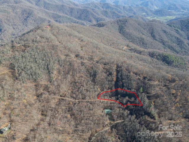 0000 Hyacinth Drive, Clyde, NC 28721