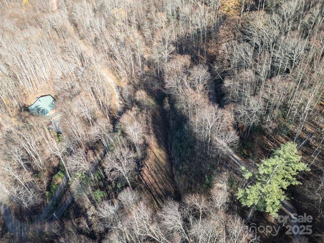 0000 Hyacinth Drive, Clyde, NC 28721