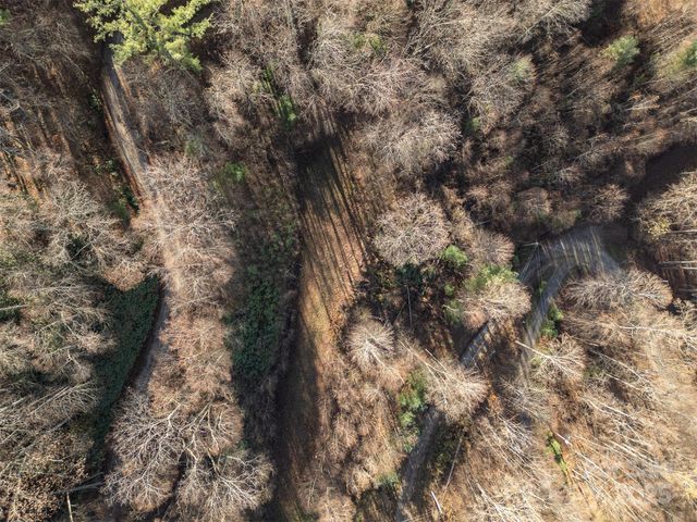 0000 Hyacinth Drive, Clyde, NC 28721