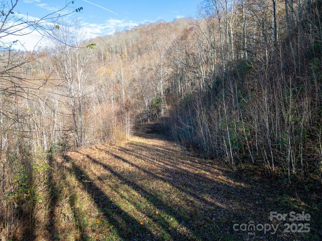 0000 Hyacinth Drive, Clyde, NC 28721