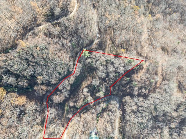 0000 Hyacinth Drive, Clyde, NC 28721