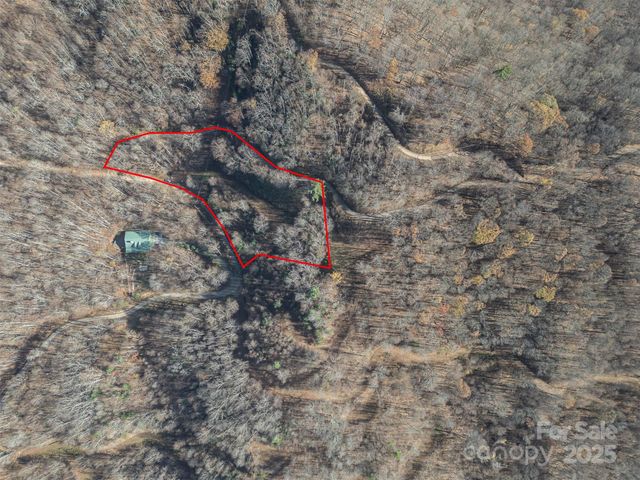 0000 Hyacinth Drive, Clyde, NC 28721