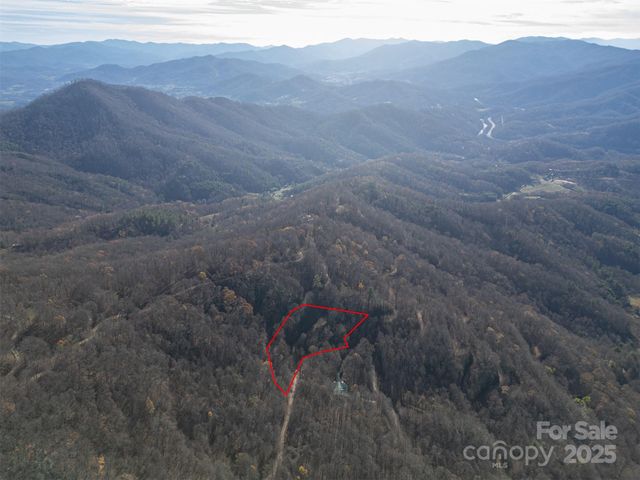 0000 Hyacinth Drive, Clyde, NC 28721