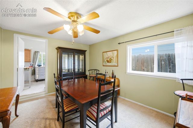 4105 London Lane, Colorado Springs, CO 80916