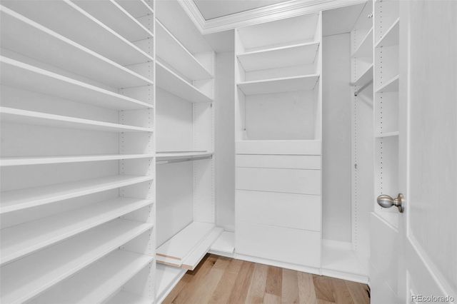 7448 S Pennsylvania Street, Littleton, CO 80122