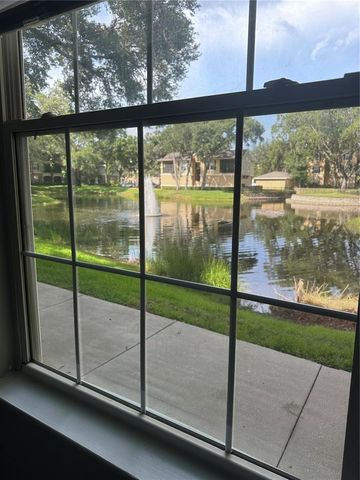 10101 COURTNEY PALMS BOULEVARD 103, Tampa, FL 33619