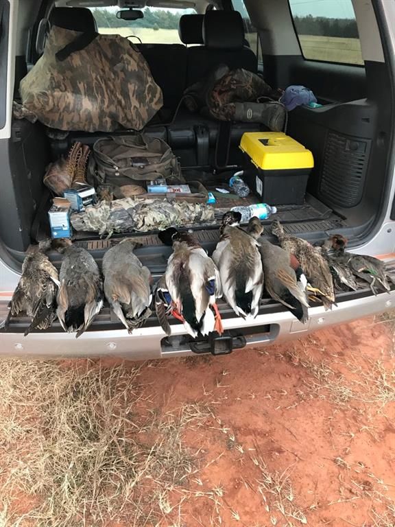 Image 11 of property listing at Address unavailable.