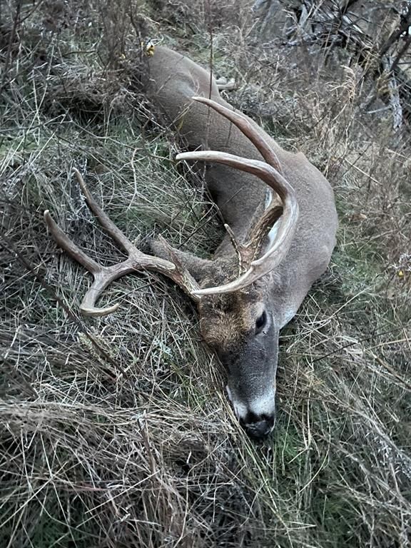 Image 12 of property listing at Address unavailable.