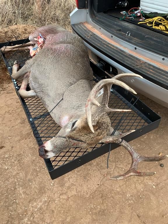 Image 13 of property listing at Address unavailable.